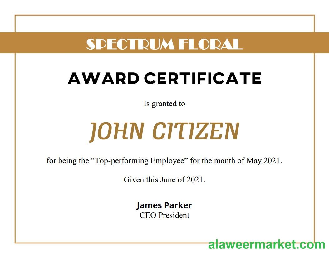 USA Award Certificate